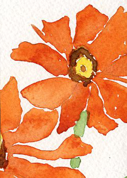 Poppy's 3 Mary Heinze Portage WI watercolor